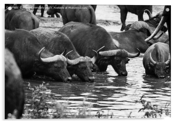 Buffalo at Waterhole Acrylic by Howard Kennedy