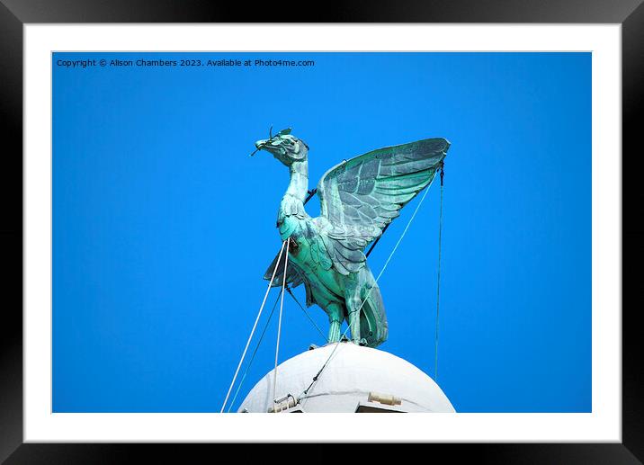 Liverpool Liver Bird Framed Mounted Print by Alison Chambers