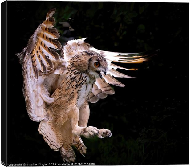Eagle Owl  Canvas Print by Stephen Taylor