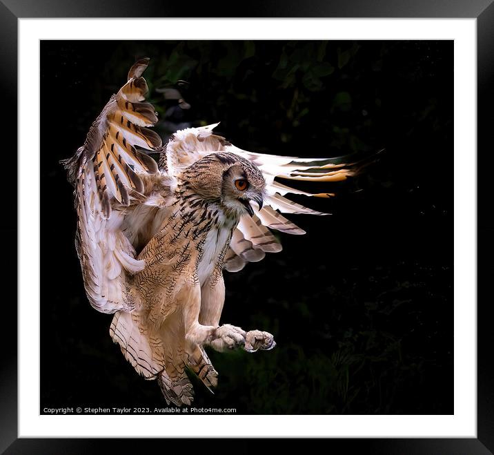Eagle Owl  Framed Mounted Print by Stephen Taylor