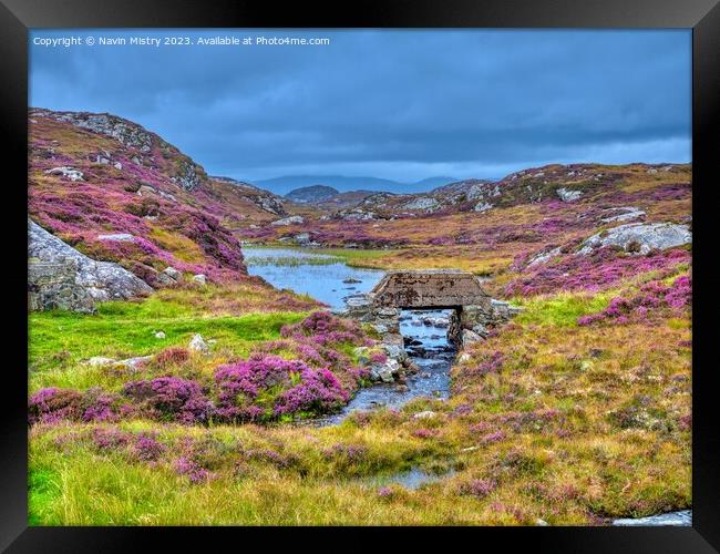A display of Heather Isle of Harris Framed Print by Navin Mistry