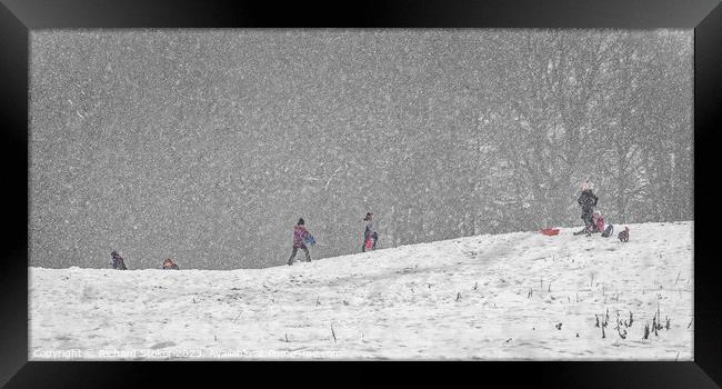 Snow Time Like Playtime Framed Print by Richard Stoker