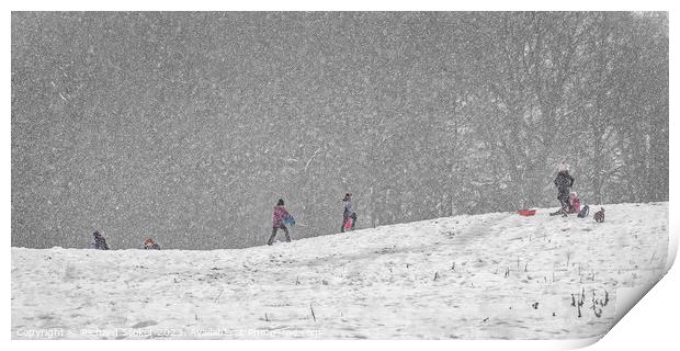 Snow Time Like Playtime Print by Richard Stoker