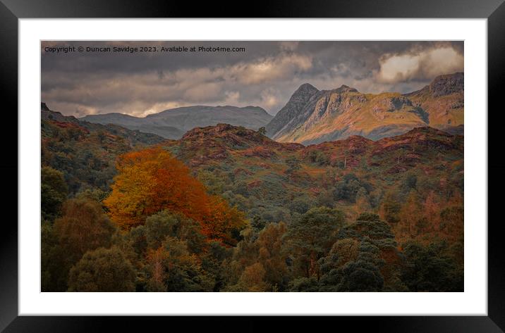 Tarn Hows looking towards Coniston Old Man Framed Mounted Print by Duncan Savidge