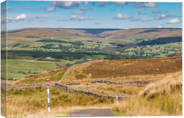 Down from Harker Hill, Mickleton, Teesdale Canvas Print by Richard Laidler