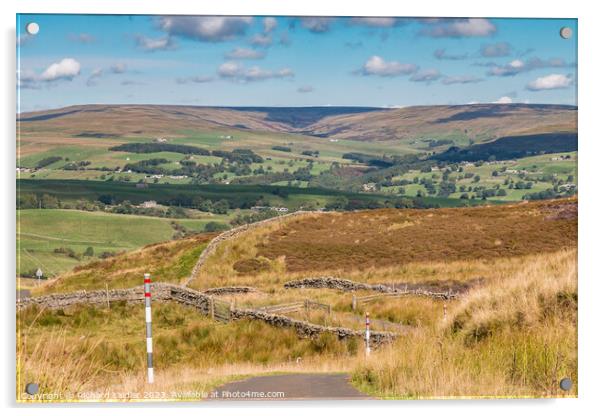 Down from Harker Hill, Mickleton, Teesdale Acrylic by Richard Laidler