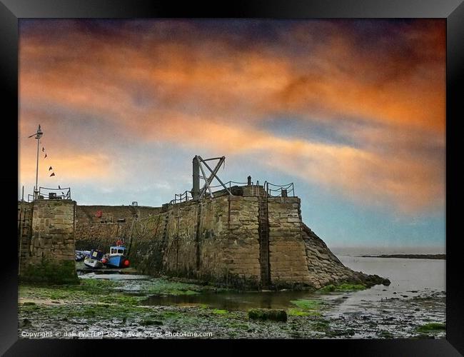 Medieval Fortress Amidst Aquatic Embrace CRAIL HAR Framed Print by dale rys (LP)