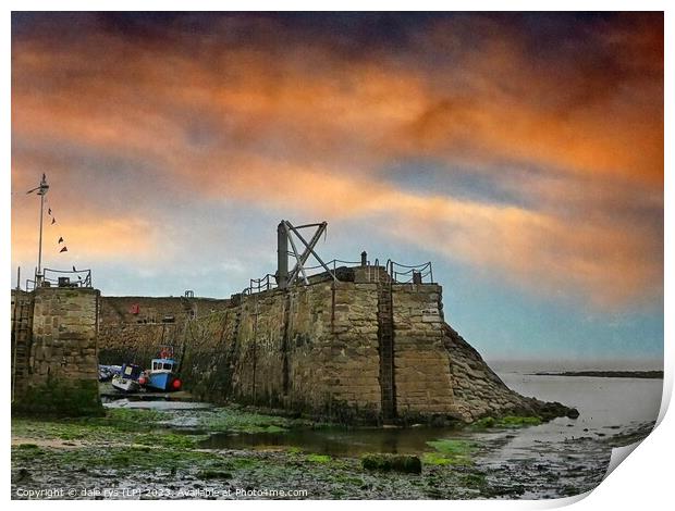 Medieval Fortress Amidst Aquatic Embrace CRAIL HAR Print by dale rys (LP)