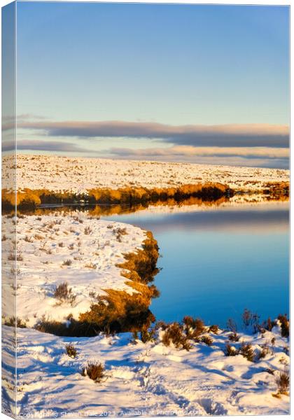 Reservoir in Winter Canvas Print by Steven Dale