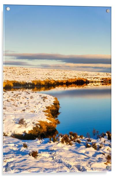 Reservoir in Winter Acrylic by Steven Dale