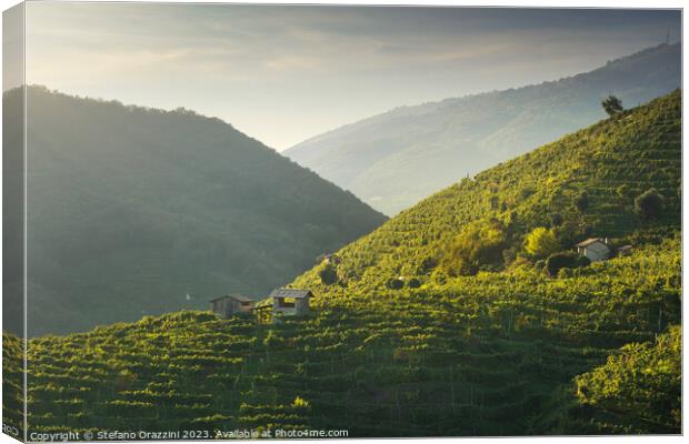 Vineyards and a few small rural cottages on the Prosecco hills.  Canvas Print by Stefano Orazzini