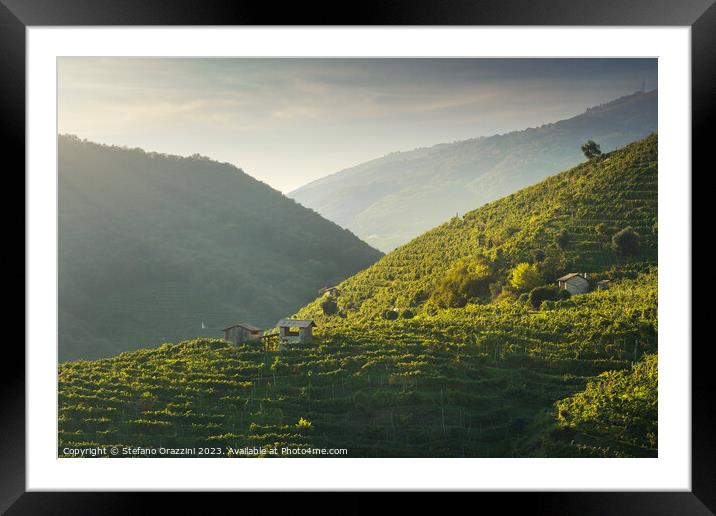 Vineyards and a few small rural cottages on the Prosecco hills.  Framed Mounted Print by Stefano Orazzini
