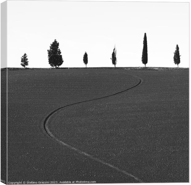 Six different trees and a furrow Canvas Print by Stefano Orazzini
