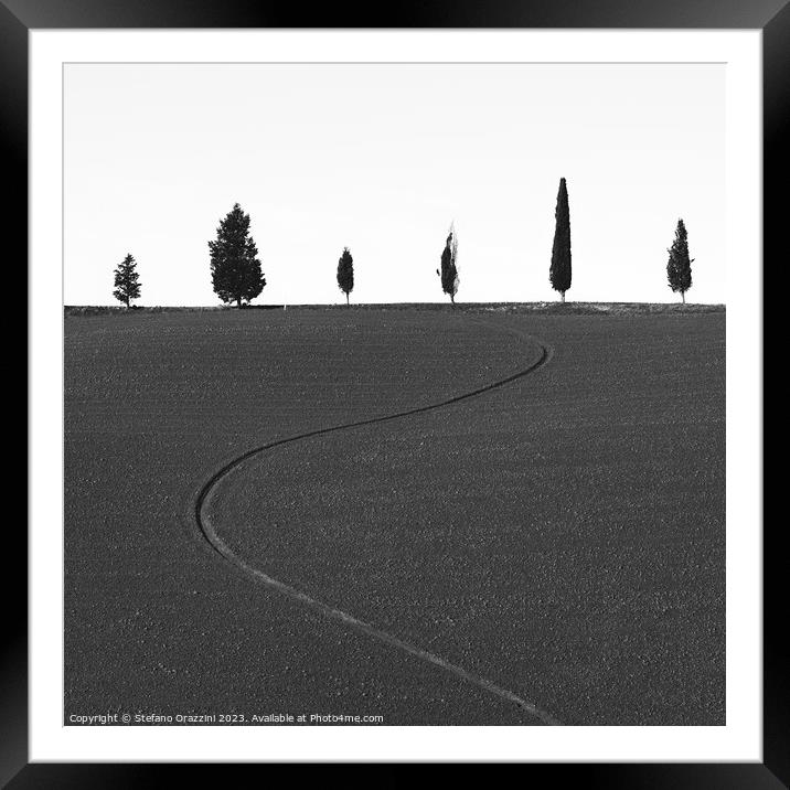 Six different trees and a furrow Framed Mounted Print by Stefano Orazzini