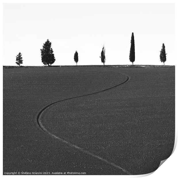 Six different trees and a furrow Print by Stefano Orazzini