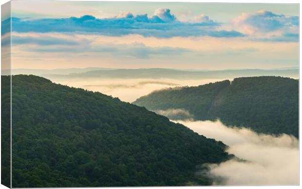 Mist swirling over Cheat River gorge at sunrise near Raven Rock Canvas Print by Steve Heap