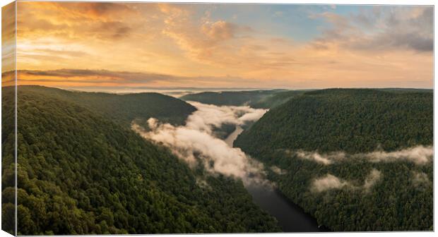 Mist swirling over Cheat River gorge at sunrise near Morgantown  Canvas Print by Steve Heap