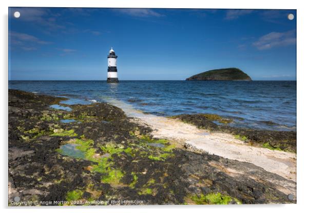 Trwyn Du Lighthouse and Puffn Island Acrylic by Angie Morton