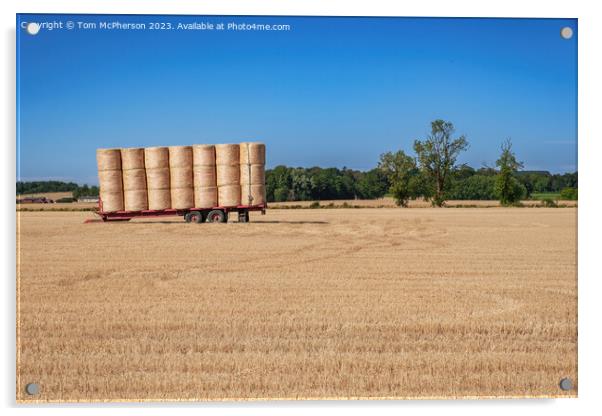 Harvest Shadows: Duffus Field's Hay Bales Acrylic by Tom McPherson
