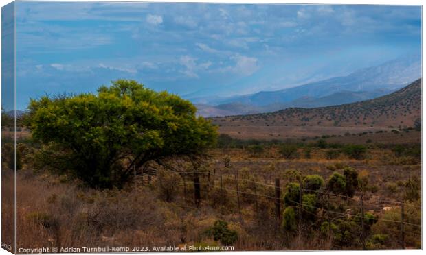 A cloudy day in the Klein Karoo. Canvas Print by Adrian Turnbull-Kemp