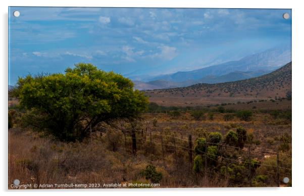 A cloudy day in the Klein Karoo. Acrylic by Adrian Turnbull-Kemp