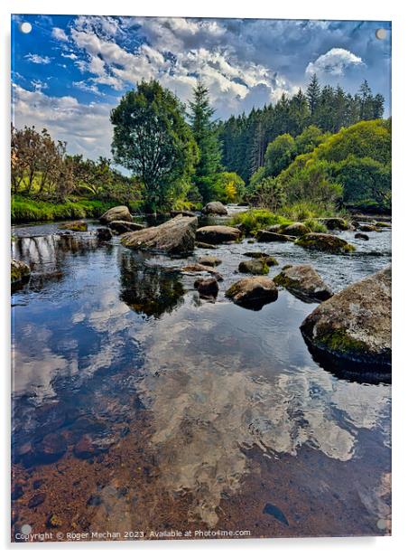 The East Dart river at Bellever Dartmoor Acrylic by Roger Mechan