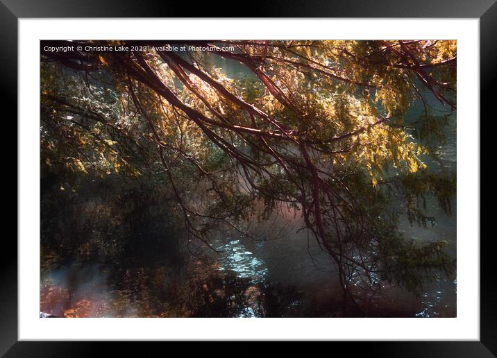 Colours Of Nature Framed Mounted Print by Christine Lake