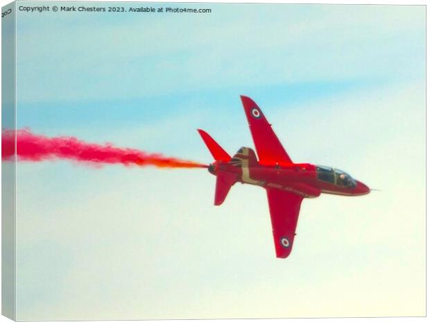 Lone Red Arrow Canvas Print by Mark Chesters