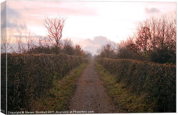 Bowes Path Home Canvas Print by Steven Stoddart
