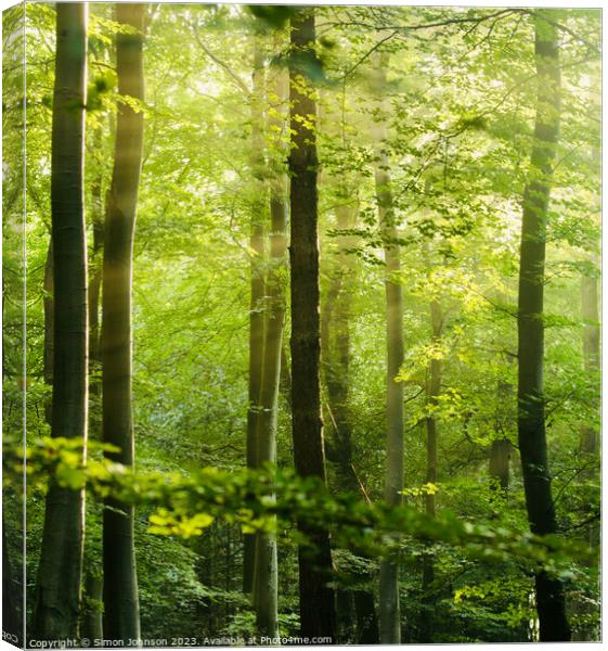 Sunlit woodland  Canvas Print by Simon Johnson