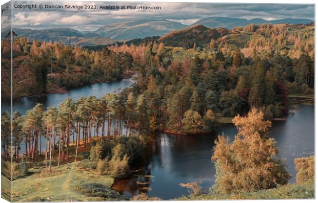 Tarn Hows from high up Canvas Print by Duncan Savidge