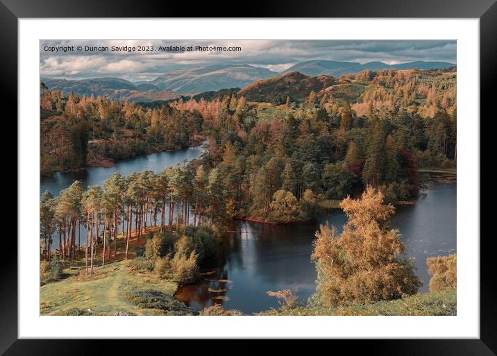 Tarn Hows from high up Framed Mounted Print by Duncan Savidge