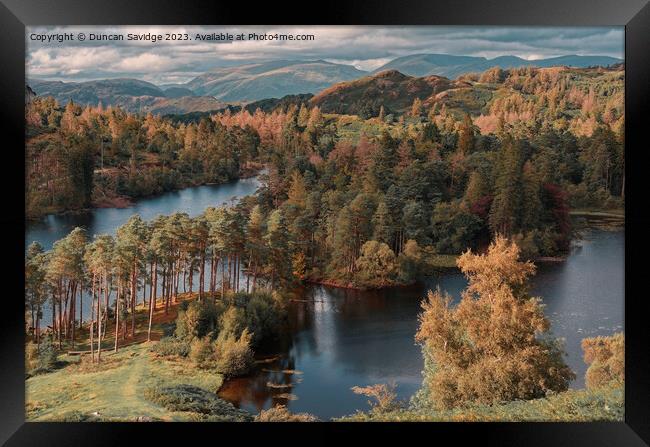 Tarn Hows from high up Framed Print by Duncan Savidge
