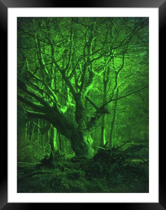 Hauntingly Different! Framed Mounted Print by Heather Goodwin