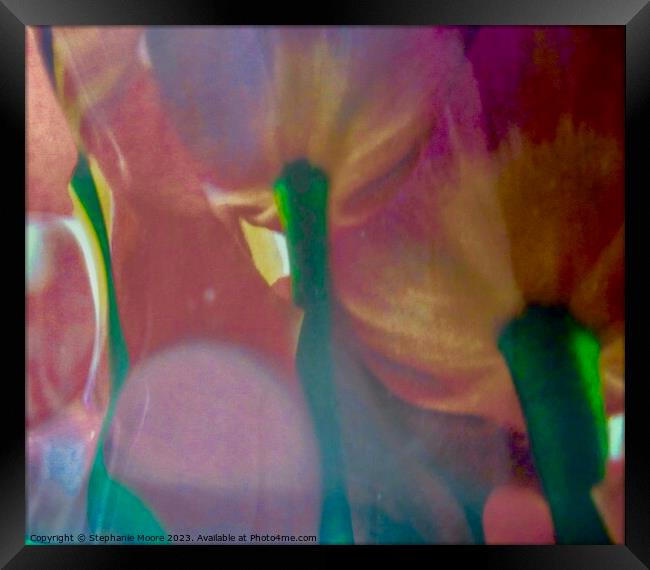Tulip Abstract Framed Print by Stephanie Moore