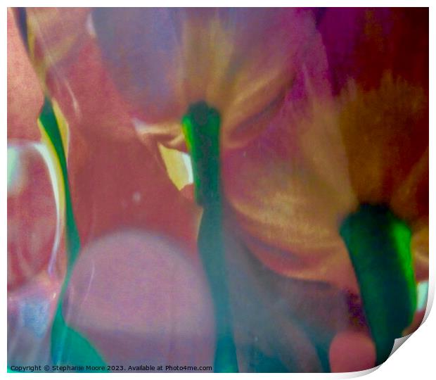 Tulip Abstract Print by Stephanie Moore