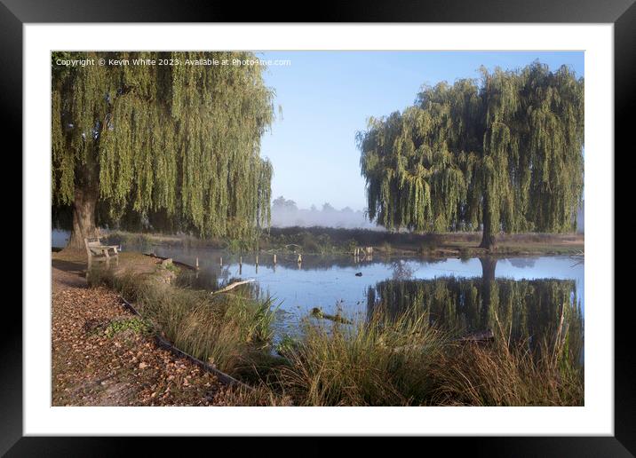 Start of autumn in Bushy Park Surrey Framed Mounted Print by Kevin White