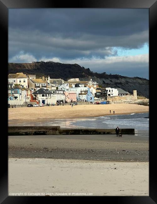 Lyme Regis Coastal Panorama Framed Print by Carnegie 42