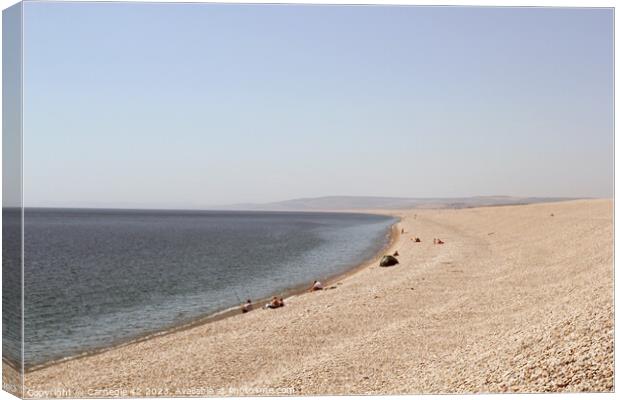 Cherished Chesil Beach Panorama Canvas Print by Carnegie 42