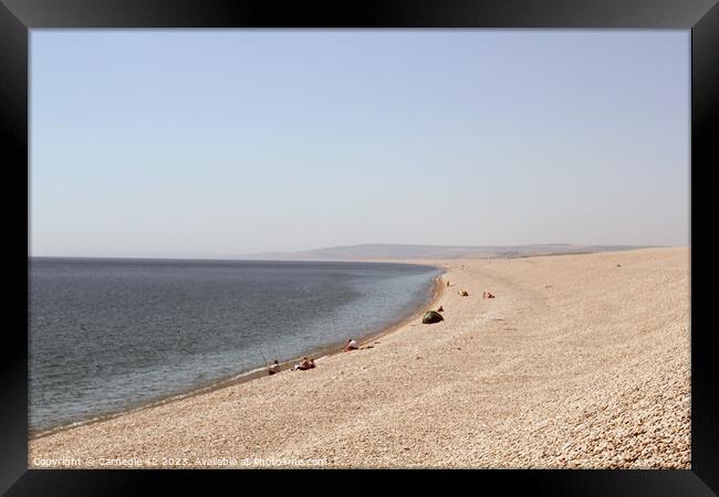 Cherished Chesil Beach Panorama Framed Print by Carnegie 42