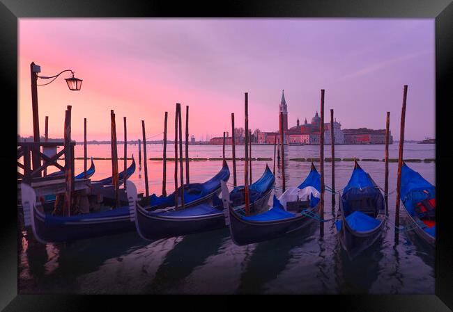Gondola,s at the Riva degli Schiavoni Venice Framed Print by Tony Bishop