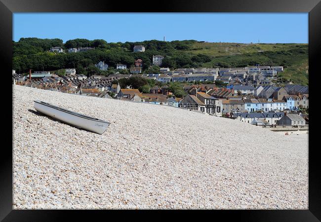 Dorset's Cherished Chesil Beach Panorama Framed Print by Carnegie 42