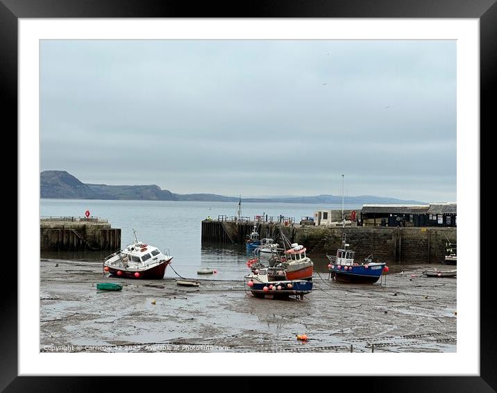 Serene Lyme Regis Harbour Vista Framed Mounted Print by Carnegie 42