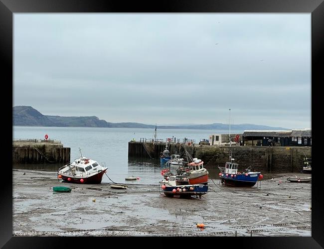 Serene Lyme Regis Harbour Vista Framed Print by Carnegie 42