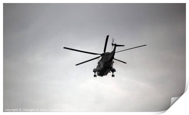 Whirlybird Dance Amidst Clouded Skies Print by Carnegie 42