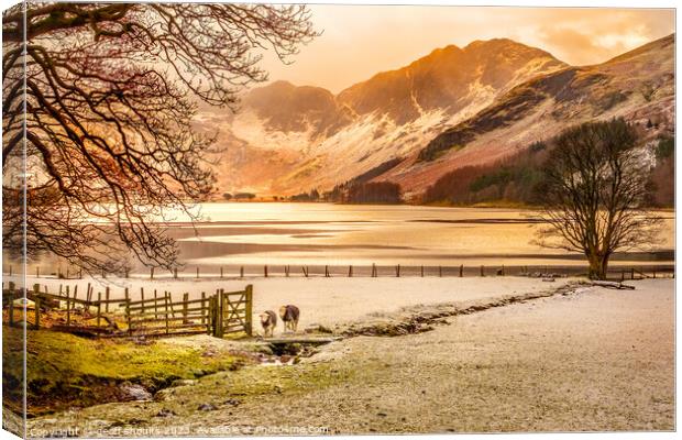Buttermere on a winter afternoon Canvas Print by geoff shoults