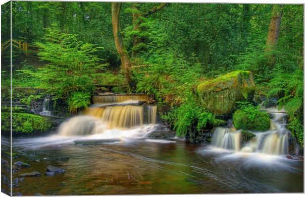 Third Coppice Weir, Rivelin  Canvas Print by Darren Galpin