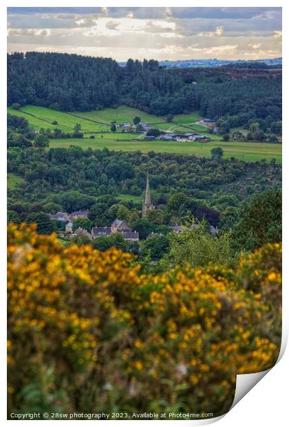 Ashover Gold. Print by 28sw photography