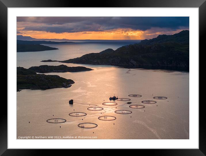 Scottish Twilight Over Salmon Farms Framed Mounted Print by Northern Wild