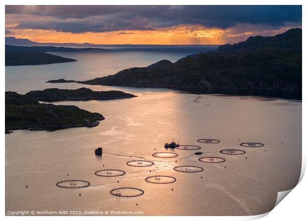 Scottish Twilight Over Salmon Farms Print by Northern Wild
